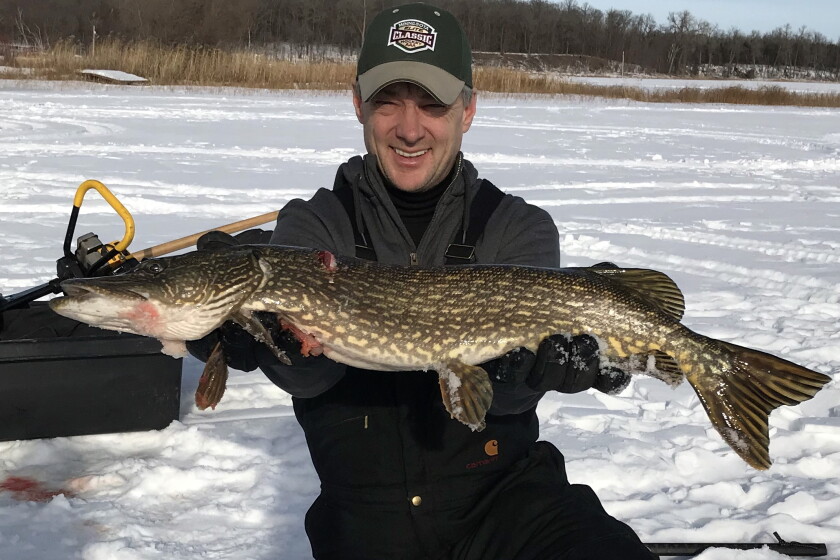 Pike Length To Weight Conversion Chart InFisherman